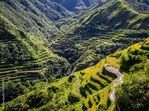 Rice terraces of Batad in Luzon  Philippines