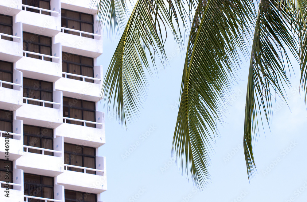 Obraz premium Здание отеля и пальма