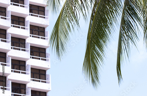 Здание отеля и пальма © Sergey