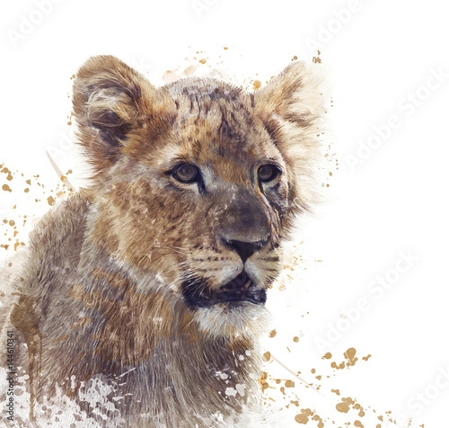 Obraz na płótnie Akwarela młody lew