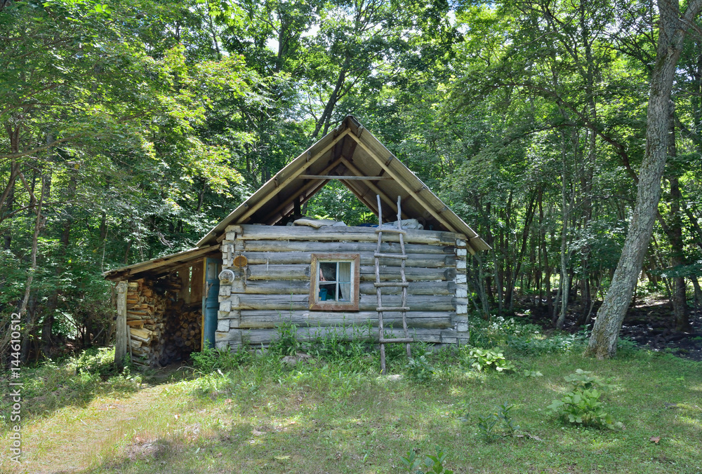 Cabin in forest 2 Cabin in forest 2