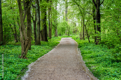 Wallpaper Mural Neuss Selikum - Im Park Torontodigital.ca