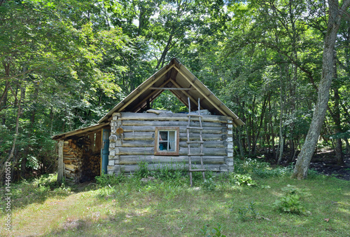 Cabin in forest 2