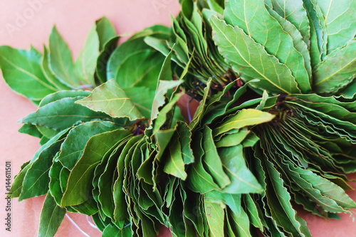 Dry green laurel leaves ready for cooking. branch of laurel bay leaves on a paper photo