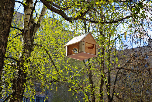 Wooden birdhouse on the tree, side view © Анна Литвиненко