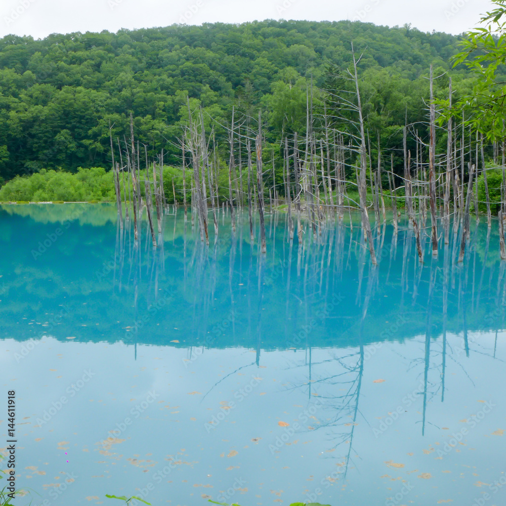 blue pond blue pond