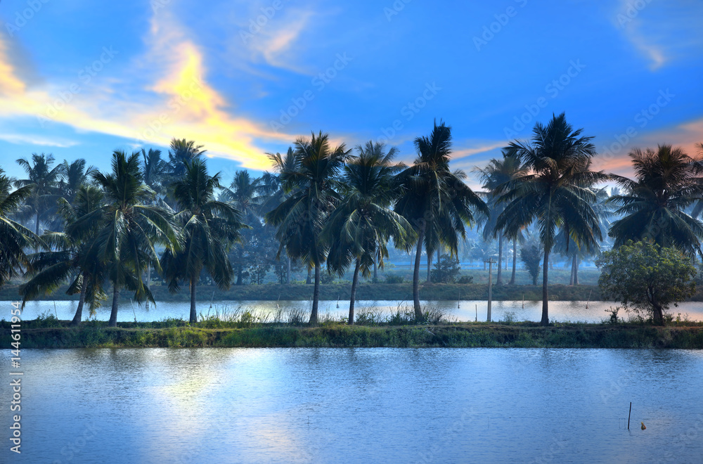 Coconut trees and reflection in southern India state Andhra pradesh