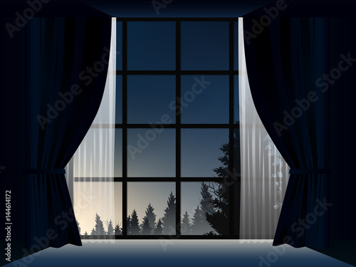 view of deep pine forest when sunrise in room