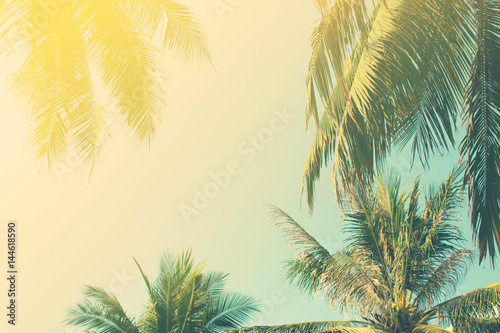 Tropical background. Toning