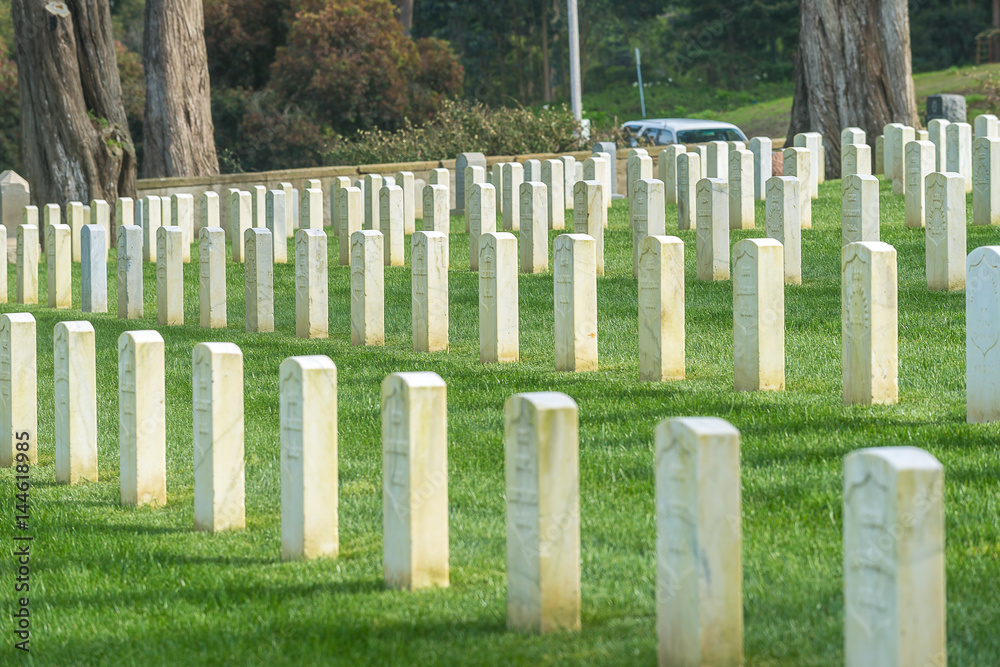 military cemetery in San Francisco