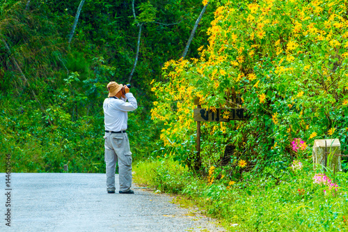 Taking a pickture of Maixan sunflower photo