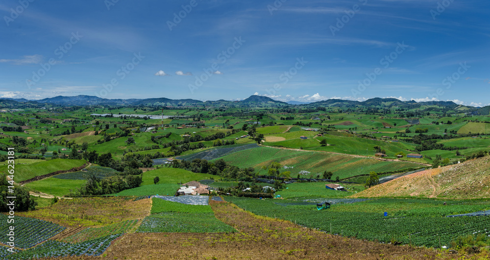 panorama rural