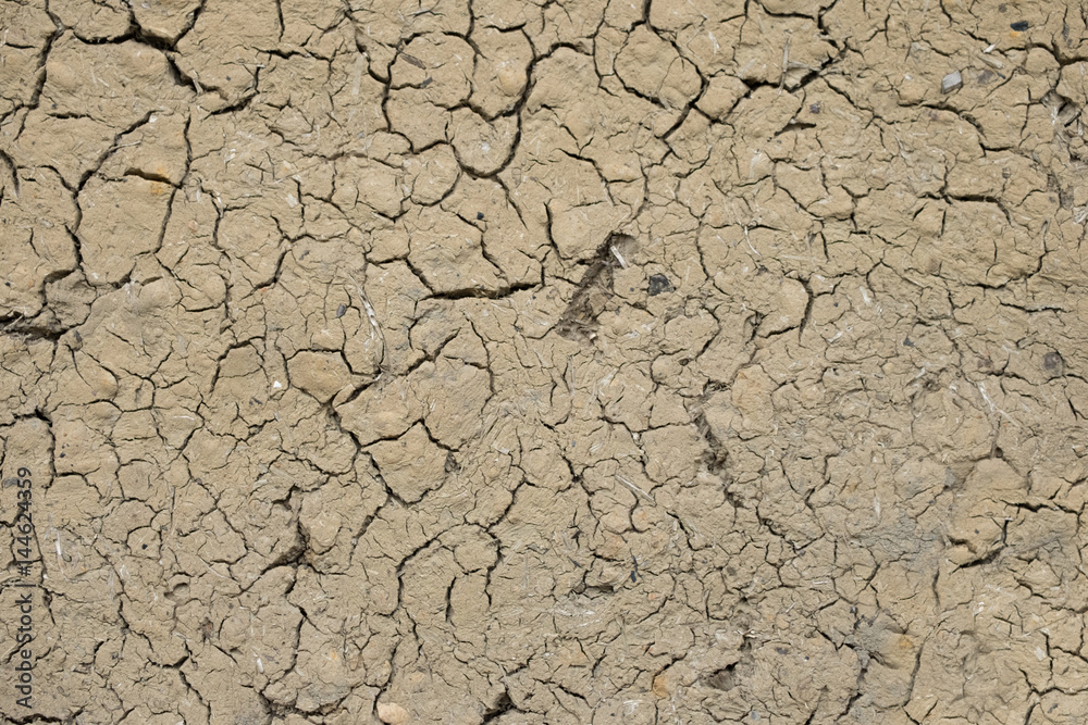 Dried mud texture, from mud hut style house Dried mud texture, from mud hut style house