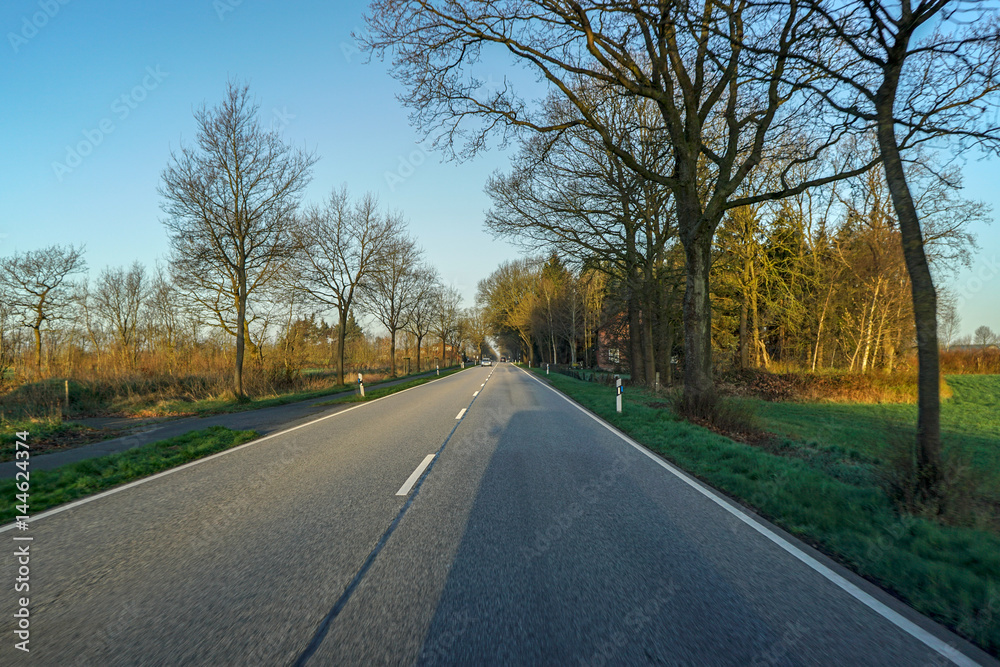 morgens auf der strasse im frühling