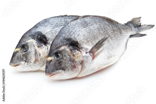 Fotografija Fresh bream sea isolated on white background.