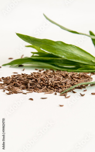 Cumin Seeds for Cakes Pies Bread and Herbs