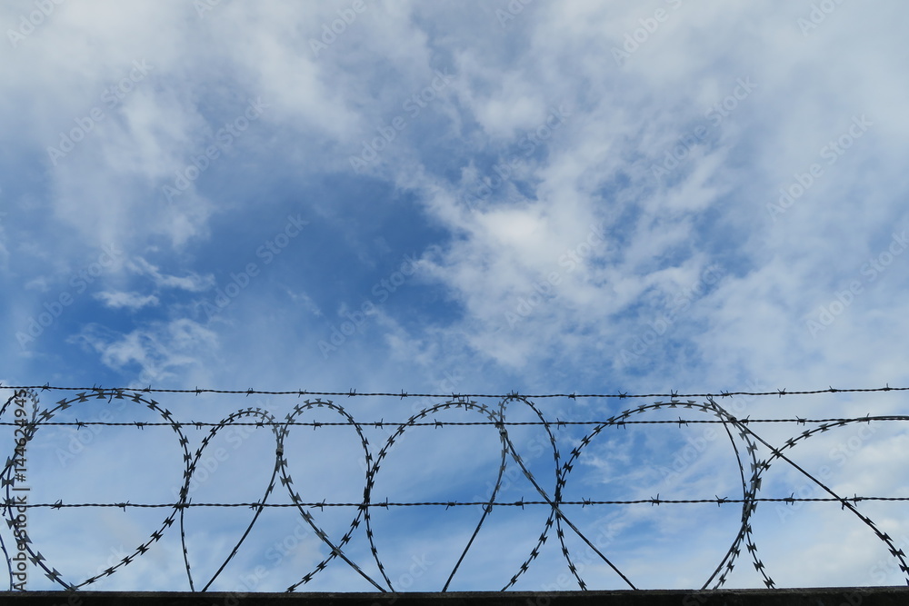 Weg zur Freiheit Weg zur Freiheit