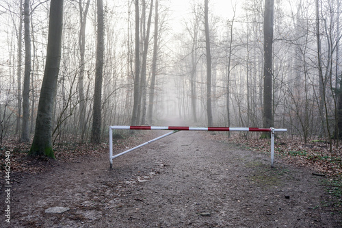 Waldweg gesperrt mit einer Schranke im Nebel