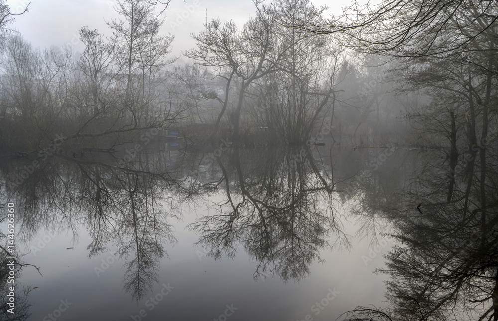 Moregnnebel an Teich im Frühling Moregnnebel an Teich im Frühling