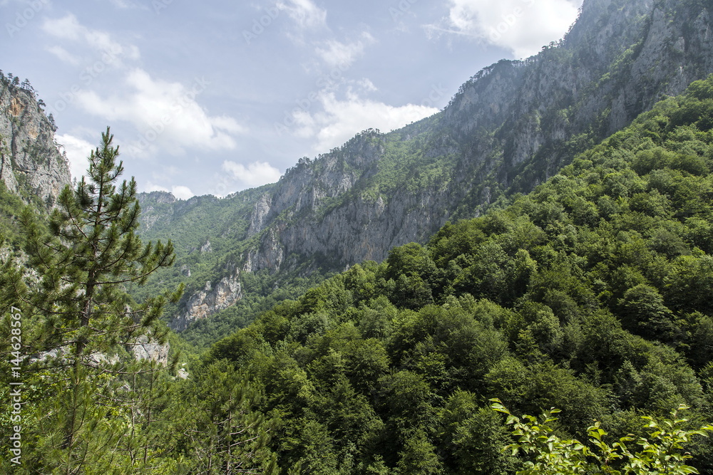 Montenegro. Durmitor National Park. Durmitor is a mountain and the National Park called on it. The highest point is Mount Bobotov Kuk-2522 m height. Montenegro. Durmitor National Park. Durmitor is a mountain and the National Park called on it. The highest point is Mount Bobotov Kuk-2522 m height.
