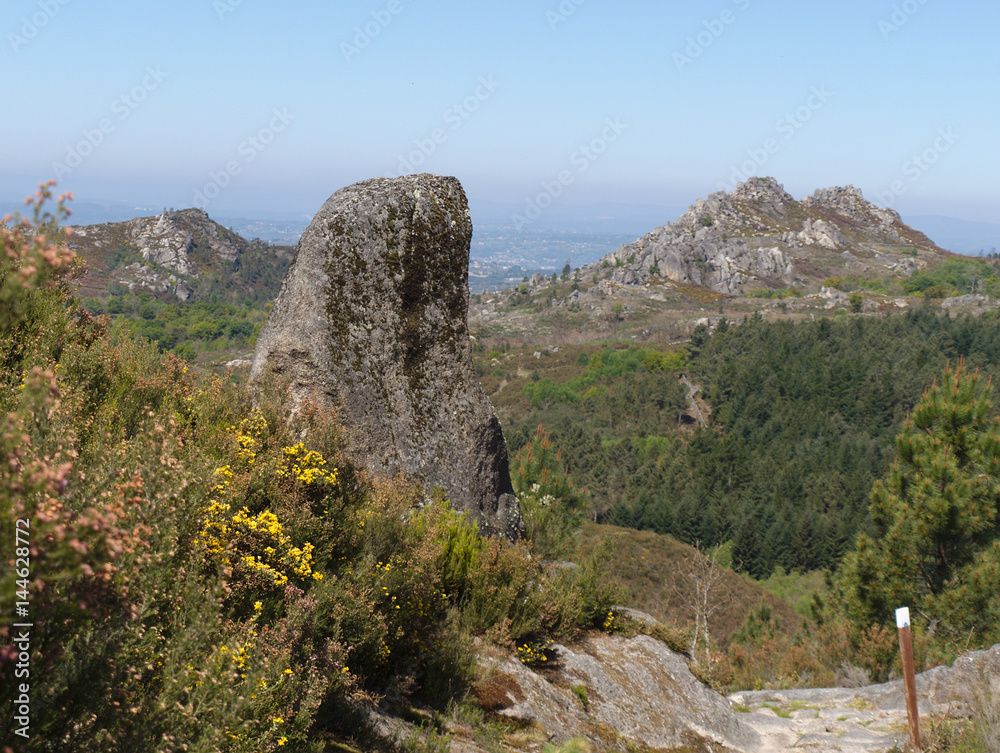 Fototapeta premium Roca en sendero por Ribera Sacra