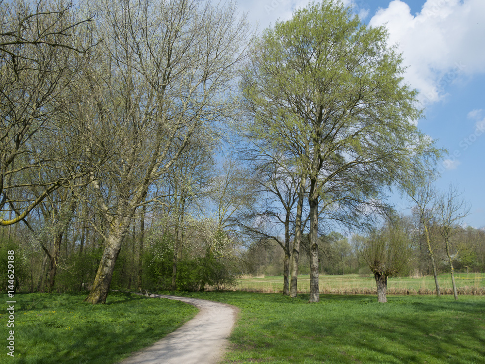 Park in early spring