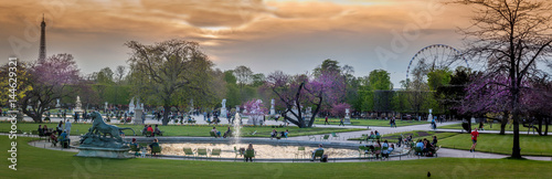 Jardin des Tuileries au crépuscule  photo