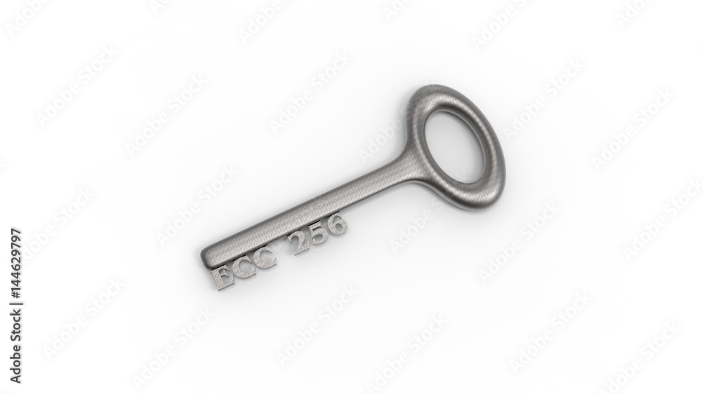 3d rendering of key with encrypted method with white background 3d rendering of key with encrypted method with white background