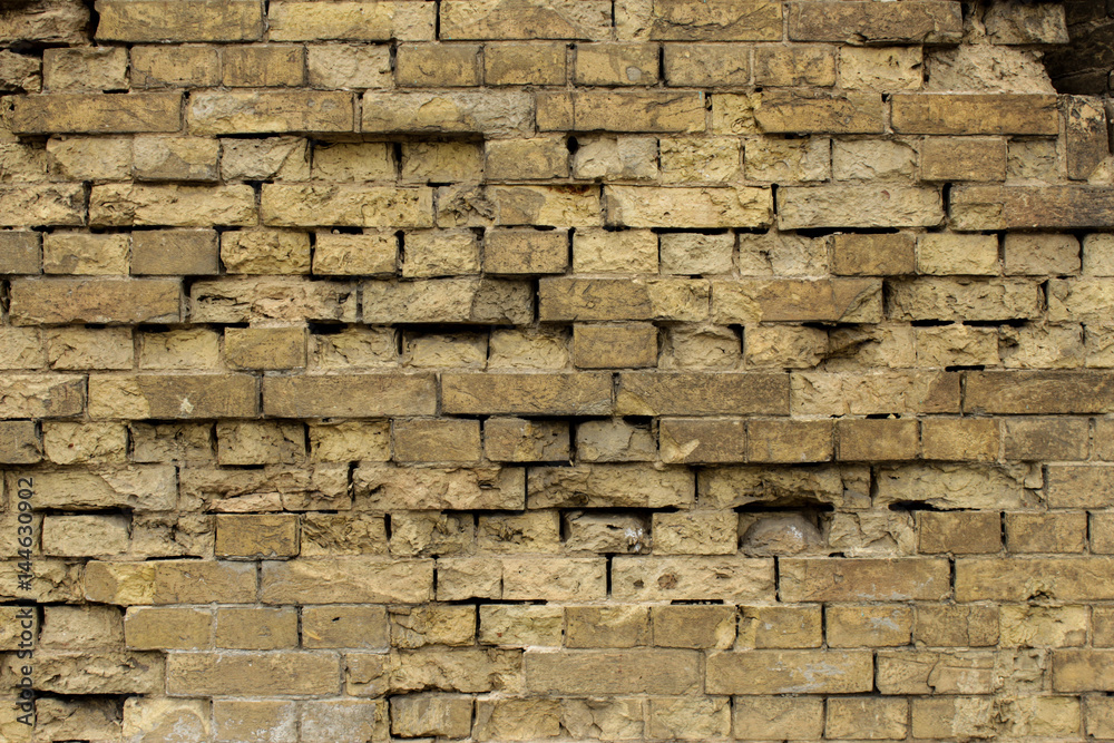 Fototapeta premium Brick wall