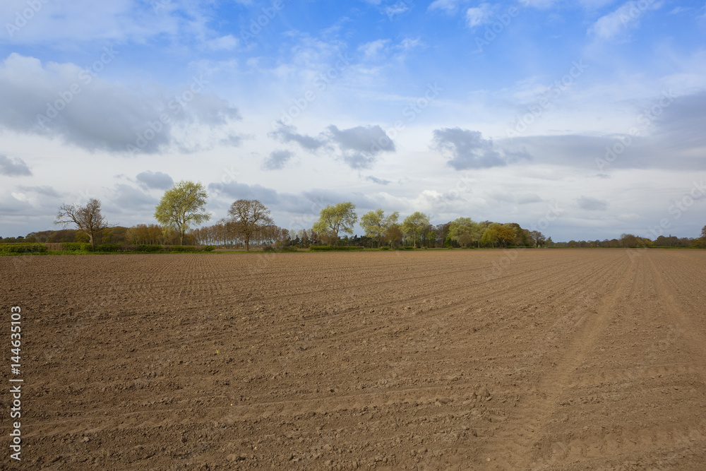 lines and patterns in plowed soil