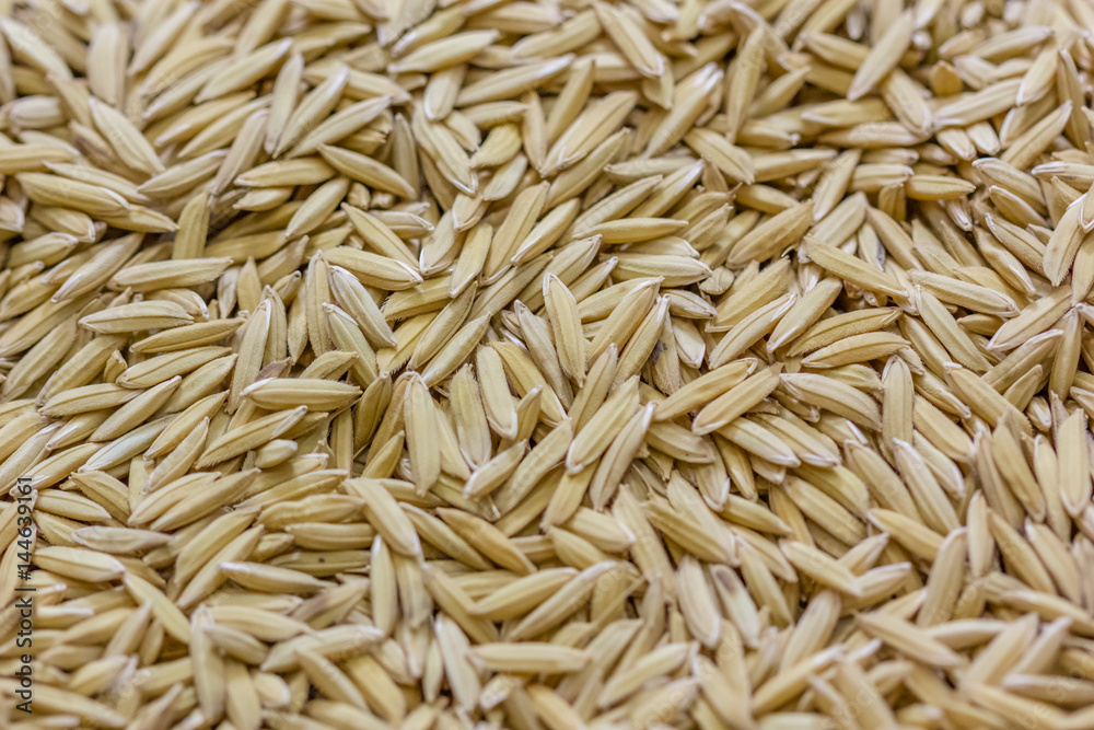 rice Background from Thailand