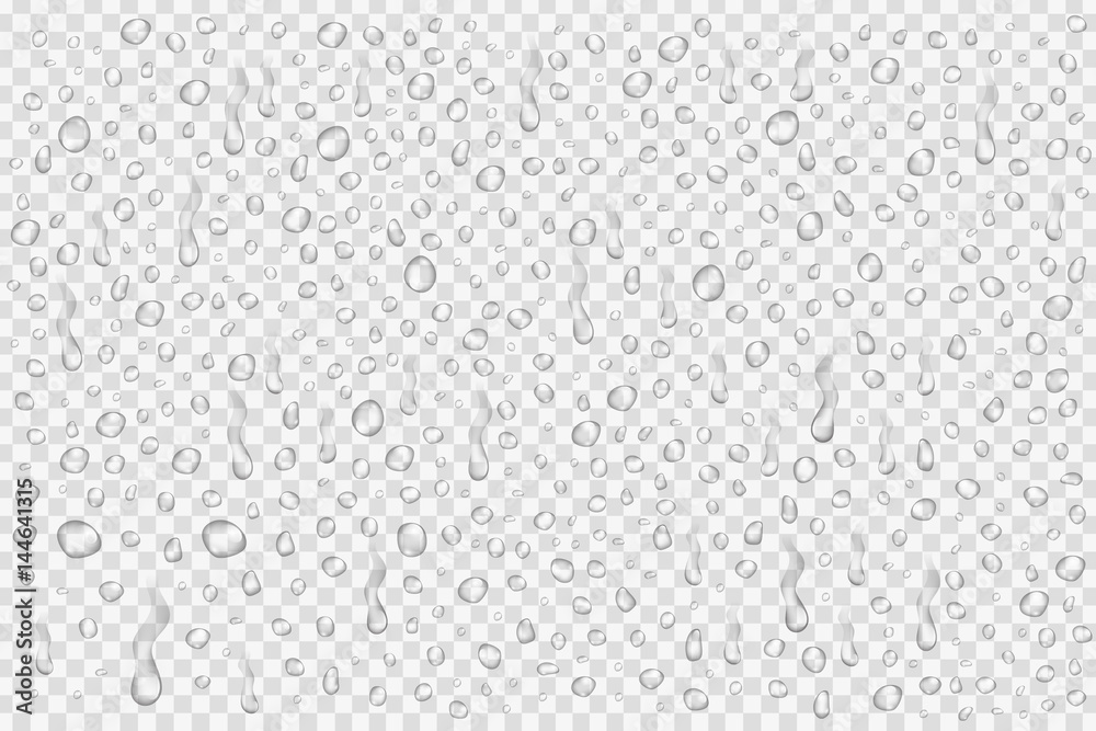 Vector set of realistic water droplets on the transparent background. - obrazy, fototapety, plakaty 