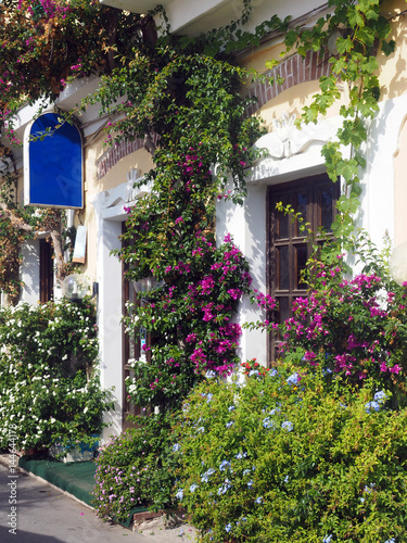 Fototapeta Naklejka Na Ścianę i Meble -  scenic building front flowers Monterosso Cinque Terre Italy Europe