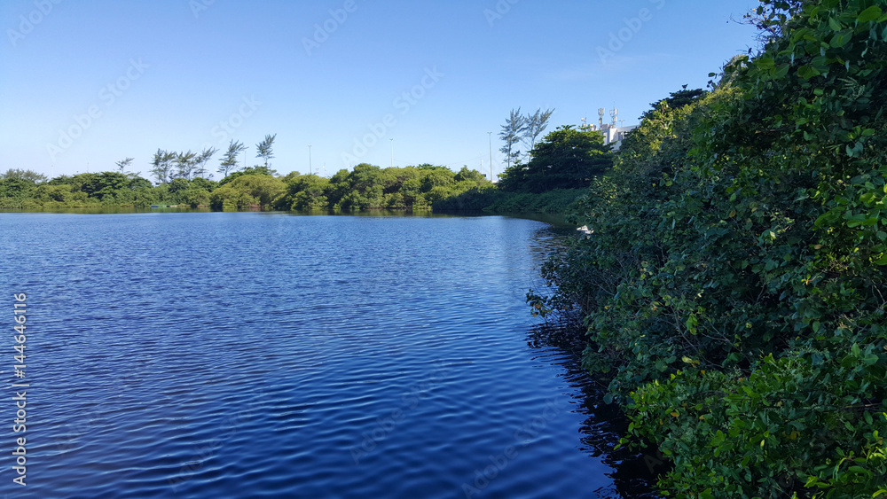Lake with native vegetation