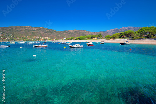 Mediteranian Corsica island with pine trees, sandy beach, tourquise clear water and yachts in bay, Corsica, France