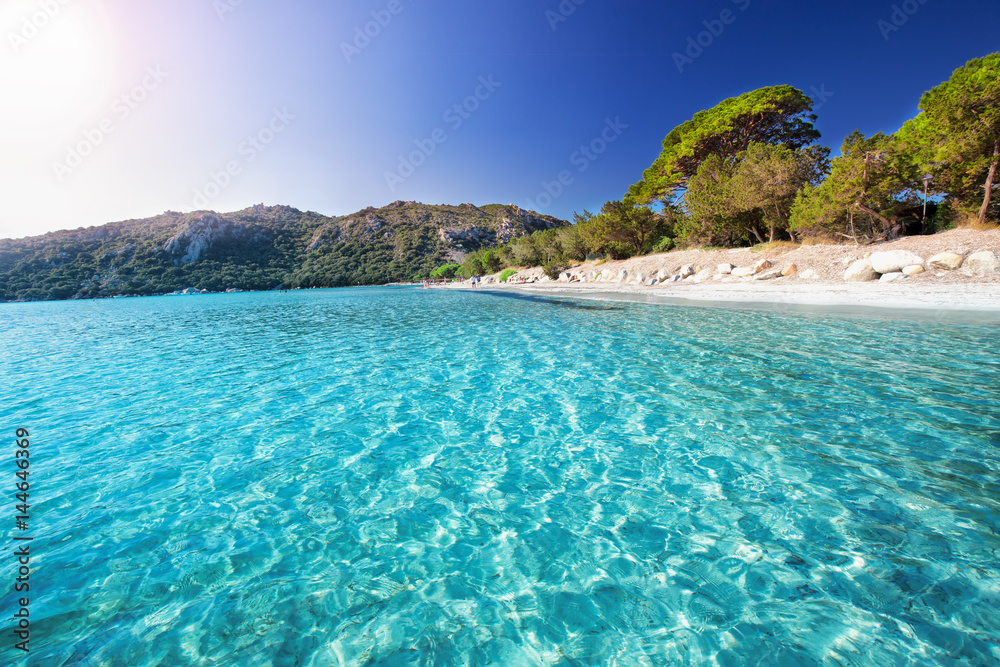 Santa Giulia sandy beach with pine trees and azure clear water, Corsica, France, Europe.