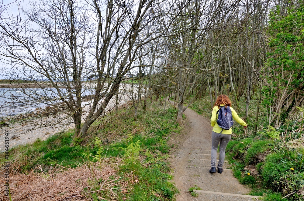 Obraz premium Une randonneuse sur le sentier côtier GR32 en Bretagne dans le Trégor, Côtes d'Armor