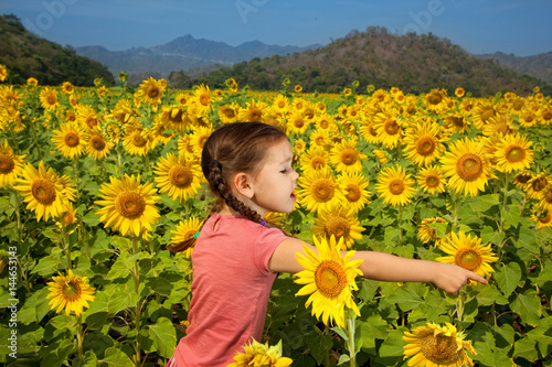 Asian girl walks in a field of sunflowers