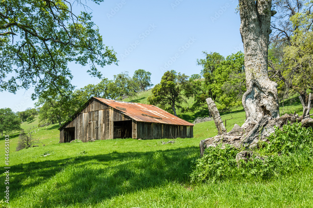 Barn and Tree