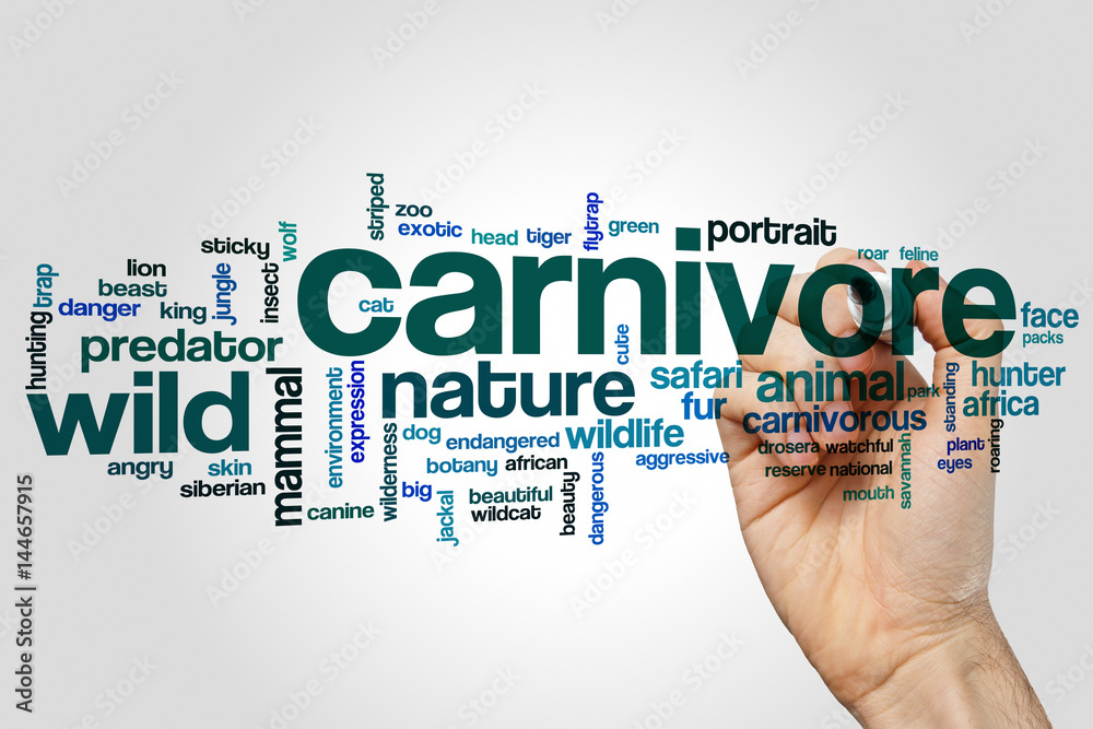 Carnivore word cloud concept on grey background Carnivore word cloud concept on grey background