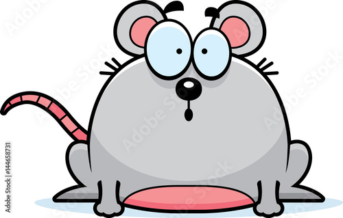 Surprised Little Mouse