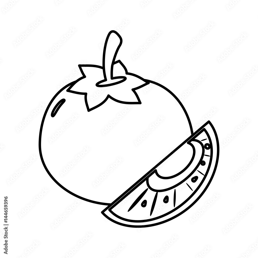 Obraz premium slice tomato food healthy image outline vector illustration eps 10