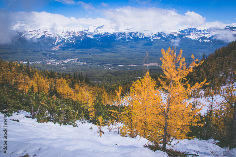 Autumn in Canadian Rocky Mountains Autumn in Canadian Rocky Mountains