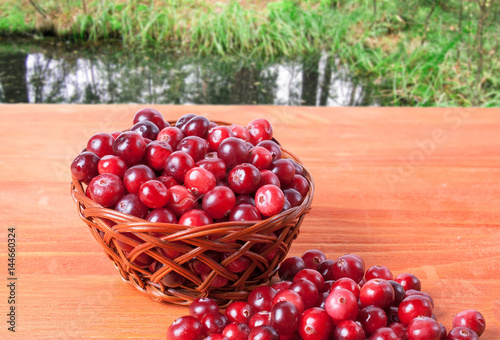 Basket with cranberries on a wooden surface with a forest lake in the background.