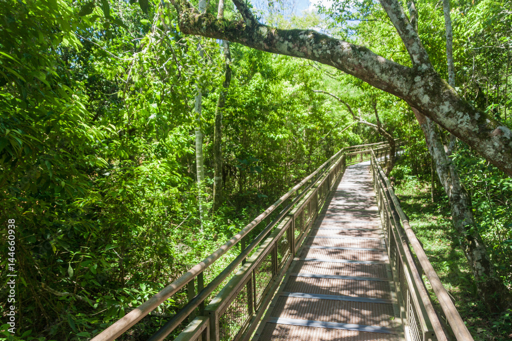 Visitor path in Iguazu National Park in Argentina Visitor path in Iguazu National Park in Argentina