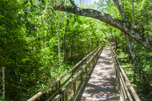 Visitor path in Iguazu National Park in Argentina