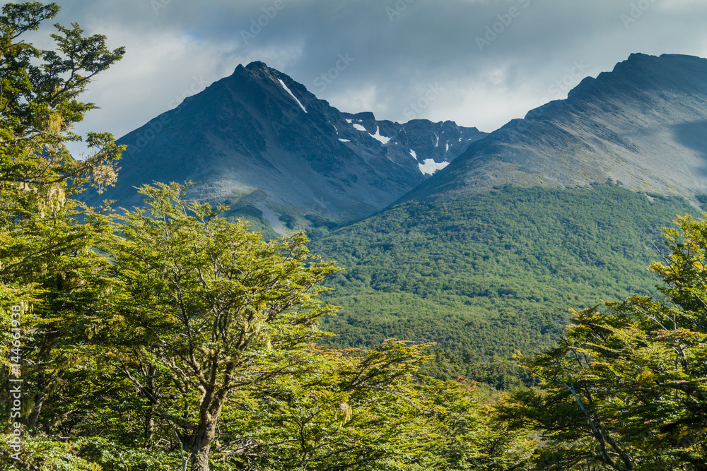 Mountains near Ushuaia, Tierra del Fuego island, Argentina