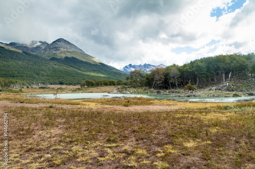 Nature in Tierra del Fuego  Argentina