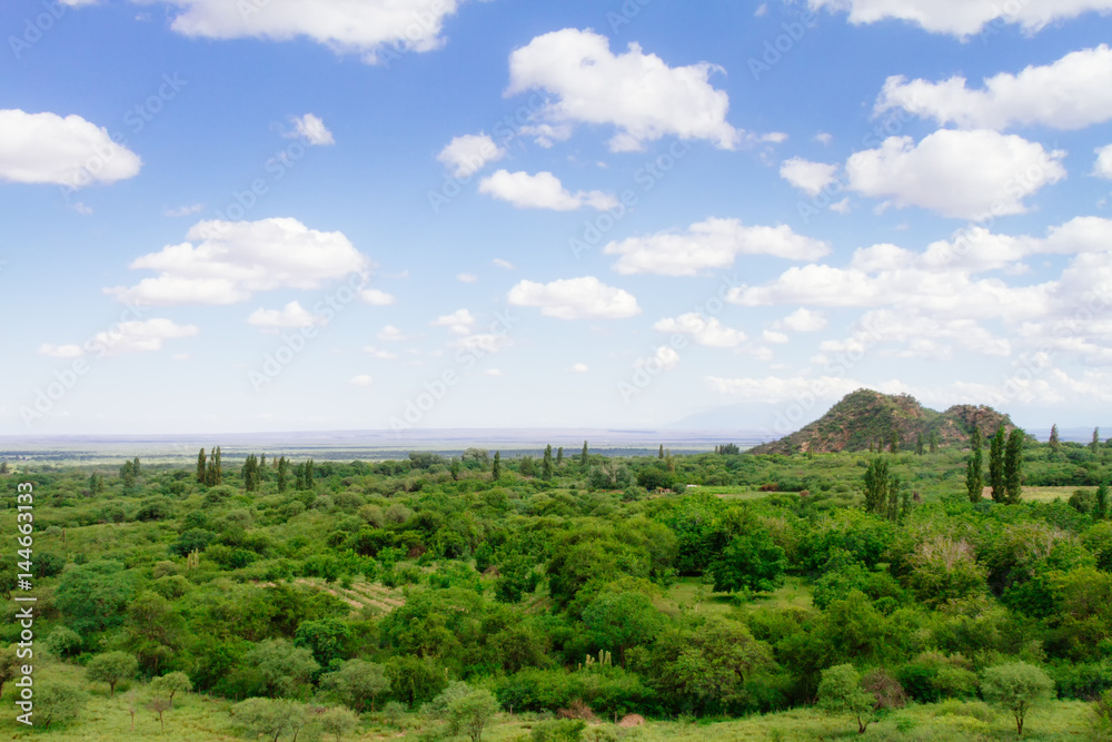 Lush valley with ruins and trails of the Inca Shinkal in Catamarca, Argentina