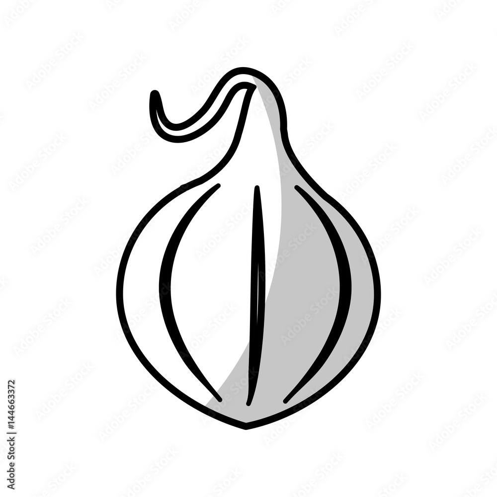 onion food nutrition - shadow vector illustration eps 10 onion food nutrition - shadow vector illustration eps 10